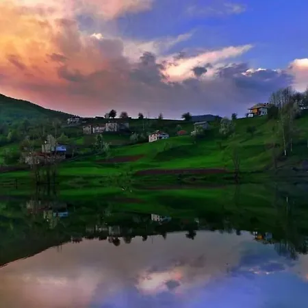 комплекс * Arda